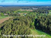 Ypač vaizdingoje ir ramioje vietoje, gamtos - nuotraukos Nr. 7