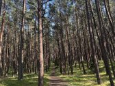 Parduodamas jaukus ir prižiūrėtas 2 kambarių - nuotraukos Nr. 13