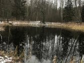 Parduodamas išskirtinis 14,22 ha sklypas prie