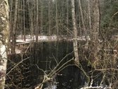 Parduodamas išskirtinis 14,22 ha sklypas prie - nuotraukos Nr. 6
