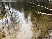 Parduodamas išskirtinis 14,22 ha sklypas prie - nuotraukos Nr. 7