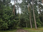 **Parduodamas Namas Nuostabioje Vietoje – - nuotraukos Nr. 2