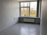 Išnuomojame administracinės paskirties - nuotraukos Nr. 4