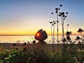 Parduodamas jaukus ir prižiūrėtas 2 kambarių - nuotraukos Nr. 9