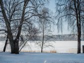 Unikali Nuomos Galimybė Senojoje Lietuvos - nuotraukos Nr. 5