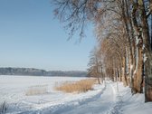 Unikali Nuomos Galimybė Senojoje Lietuvos - nuotraukos Nr. 10