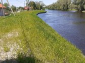 Rusnes saloje , Pakalnes kaime , prie - nuotraukos Nr. 2