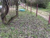 Sklypas su pamatais ir dokumentuose - nuotraukos Nr. 3