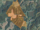 Gyvenamas namas ir namų valda 7,74 ha - nuotraukos Nr. 4