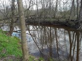 Parduodamas išskirtinis sklypas su namų valda - nuotraukos Nr. 4