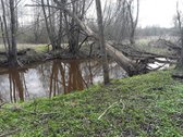 Parduodamas išskirtinis sklypas su namų valda - nuotraukos Nr. 3
