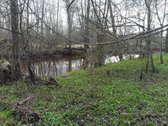 Parduodamas išskirtinis sklypas su namų valda - nuotraukos Nr. 6