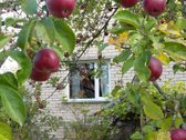 Dusetose, Kalno g ( Zarasų raj) parduodamas - nuotraukos Nr. 7