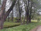 Erdvus 3 Kambarių Butas Su Nuosavu Dujiniu - nuotraukos Nr. 28