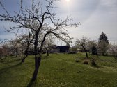 Parduodami du vienas šalia kito esantys - nuotraukos Nr. 5