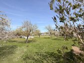 Parduodami du vienas šalia kito esantys - nuotraukos Nr. 6