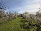Parduodami du vienas šalia kito esantys - nuotraukos Nr. 10
