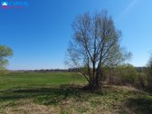 Parduodamas žemės ūkio paskirties sklypas - nuotraukos Nr. 6