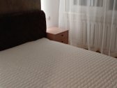 Nuomojamas butas su visa buitine technika ir - nuotraukos Nr. 4