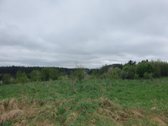 Sodyba 1940m. būklė vidutiniška.  - nuotraukos Nr. 8