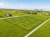 Šalia Palangos Kiauleikių K. Parduodami Namų