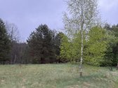 Parduodami žemės ūkio paskirties sklypai - nuotraukos Nr. 2