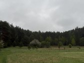 Parduodami žemės ūkio paskirties sklypai - nuotraukos Nr. 3