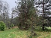 Parduodami žemės ūkio paskirties sklypai - nuotraukos Nr. 5