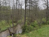 Parduodami žemės ūkio paskirties sklypai - nuotraukos Nr. 7