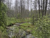 Parduodami žemės ūkio paskirties sklypai - nuotraukos Nr. 9