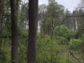 Parduodami žemės ūkio paskirties sklypai - nuotraukos Nr. 6