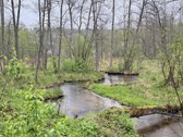 Parduodami žemės ūkio paskirties sklypai - nuotraukos Nr. 10