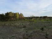 Parduodami namų valdų ir miškų ūkio - nuotraukos Nr. 2