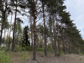 Parduodami namų valdų ir miškų ūkio - nuotraukos Nr. 5