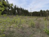 Parduodami namų valdų ir miškų ūkio - nuotraukos Nr. 6