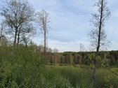 Parduodami namų valdų ir miškų ūkio
