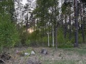 Parduodami namų valdų ir miškų ūkio - nuotraukos Nr. 7