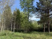 Parduodamas erdvus ir perspektyvus žemės ūkio - nuotraukos Nr. 3