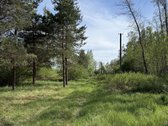 Parduodamas erdvus ir perspektyvus žemės ūkio - nuotraukos Nr. 4