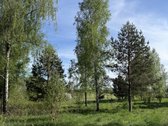 Parduodamas erdvus ir perspektyvus žemės ūkio - nuotraukos Nr. 5