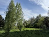Parduodamas erdvus ir perspektyvus žemės ūkio - nuotraukos Nr. 6