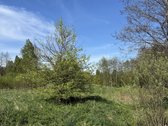 Parduodamas erdvus ir perspektyvus žemės ūkio - nuotraukos Nr. 7