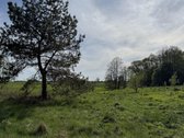 Parduodamas erdvus ir perspektyvus žemės ūkio - nuotraukos Nr. 9