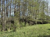 Parduodamas erdvus ir perspektyvus žemės ūkio - nuotraukos Nr. 10