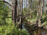 Parduodamas erdvus ir perspektyvus žemės ūkio - nuotraukos Nr. 11
