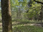 Parduodamas namų valdos sklypas atokioje - nuotraukos Nr. 2