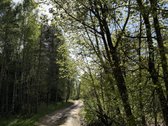 Parduodamas namų valdos sklypas atokioje - nuotraukos Nr. 4