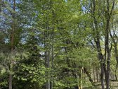 Parduodamas namų valdos sklypas atokioje - nuotraukos Nr. 5