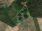 Parduodamas 25,01 ha miškas Ignalinos raj.