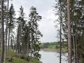 Parduodamas miškų ūkio paskirties sklypas